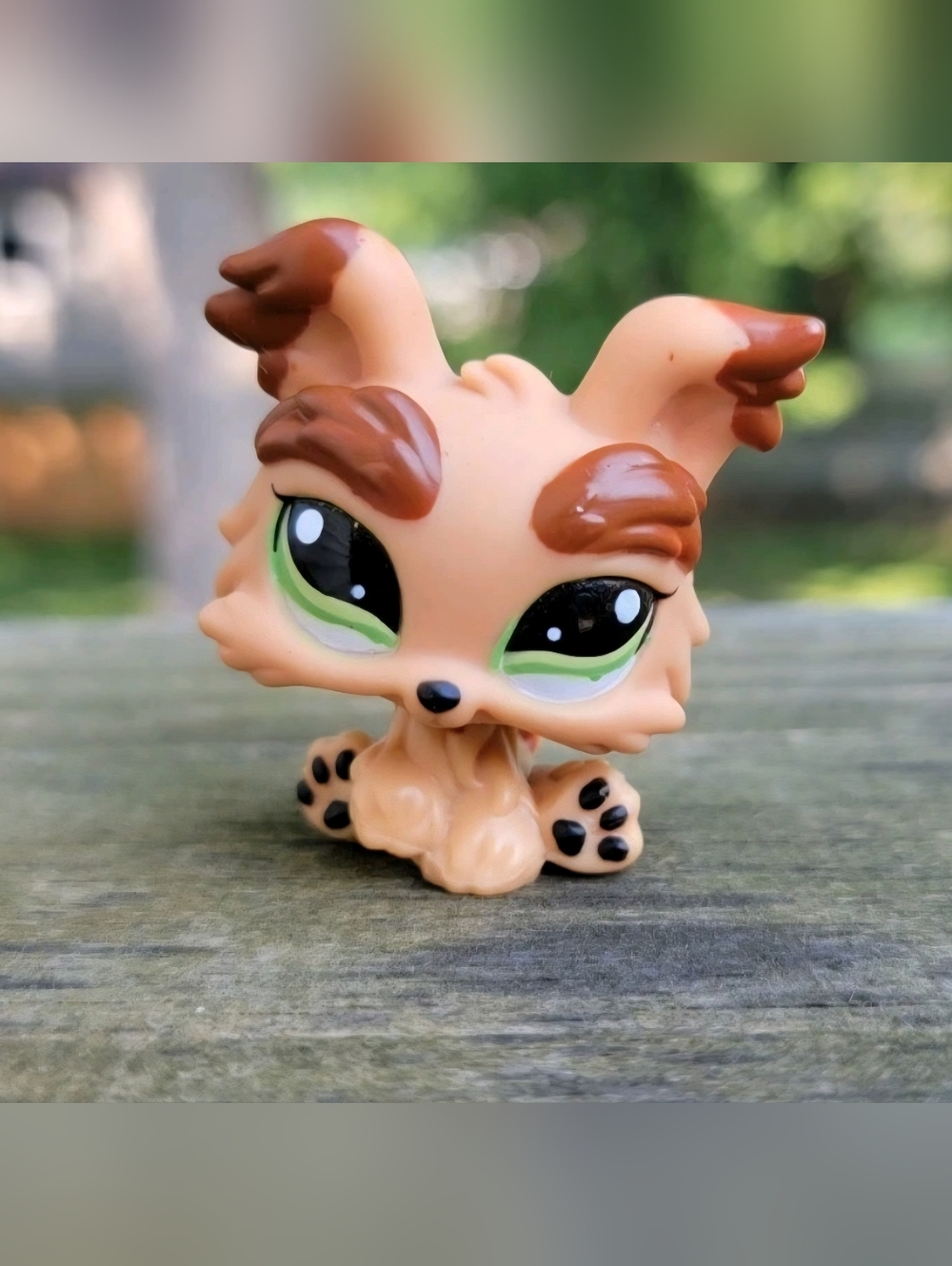 Littlest Pet Shop Yorkshire Terrier Yorkie Dog #1016 Green Eyes